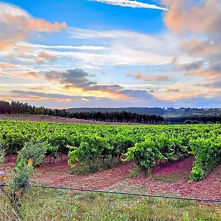 Historic Vineyard Retreat - 1785 Country In Peral Apartament