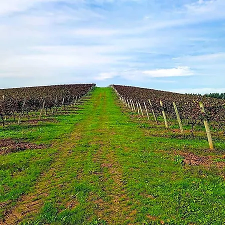 Historic Vineyard Retreat - 1785 Country In Peral Apartament Cadaval