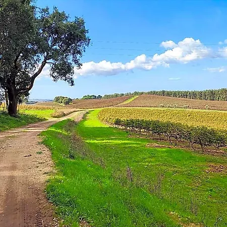 Historic Vineyard Retreat - 1785 Country In Peral * Cadaval