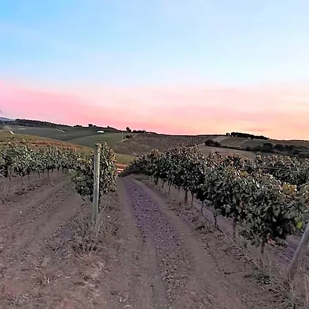 Apartament Historic Vineyard Retreat - 1785 Country In Peral Cadaval