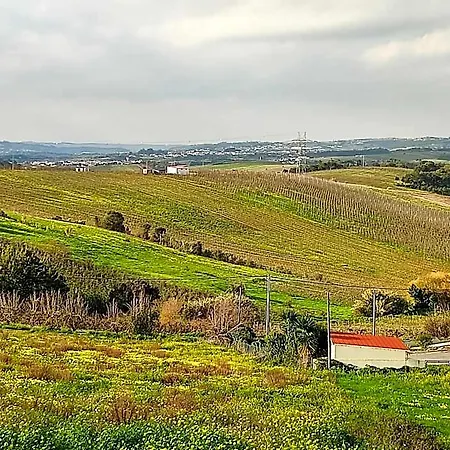 Historic Vineyard Retreat - 1785 Country In Peral Apartament Cadaval